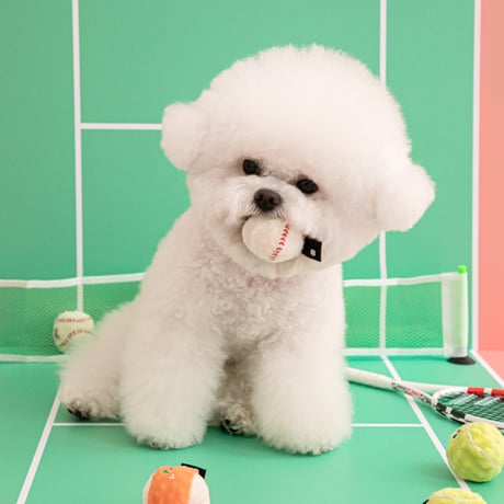 《BITE ME》ミニスポーツボールおもちゃセット（3個入り）