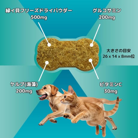 《PURE PETS》緑イ貝ビスケット