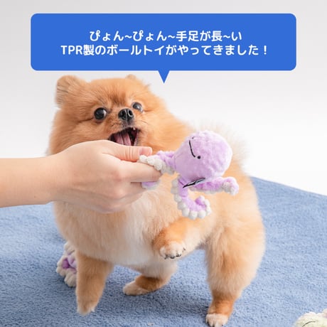 《BITE ME》ぴょんぴょんボールおもちゃ