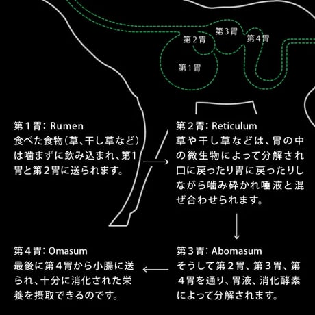 《NUTRIPE》Natural エアドライ　チキンwithグリーントライプ