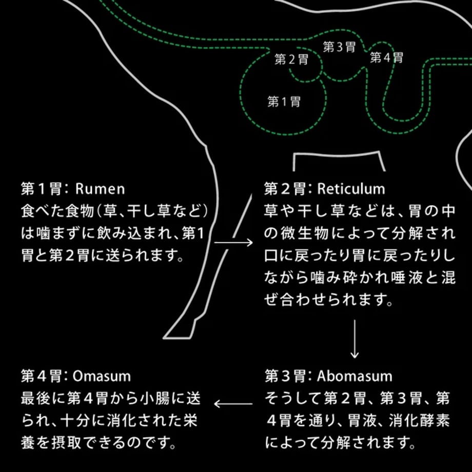 6a757c20ce75b20cc31e1876