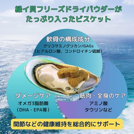 《PURE PETS》緑イ貝ビスケット