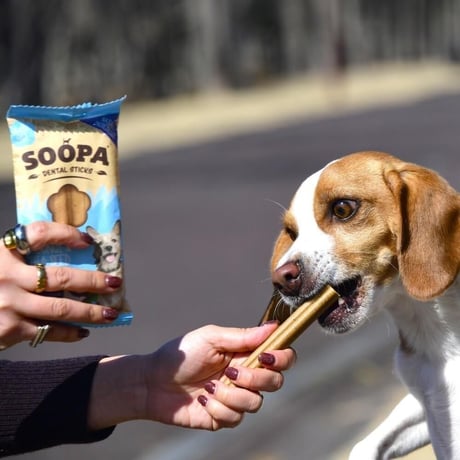 《SOOPA》COCONUT&CHIA SEED STICKS(ココナッツ＆チアシードスティック)