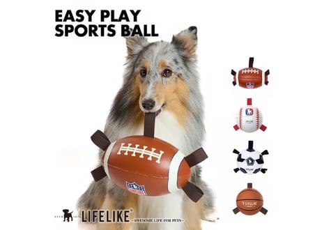 《LIFELIKE》イージーPLAYスポーツボール