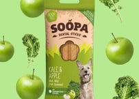 《SOOPA》KALE&APPLE STICKS(ケール&アップルスティック)