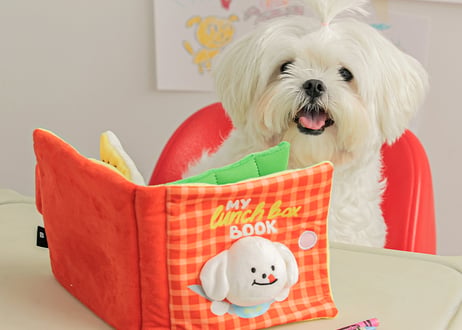 《BITE ME》ノーズワークプレイブック　ランチボックス