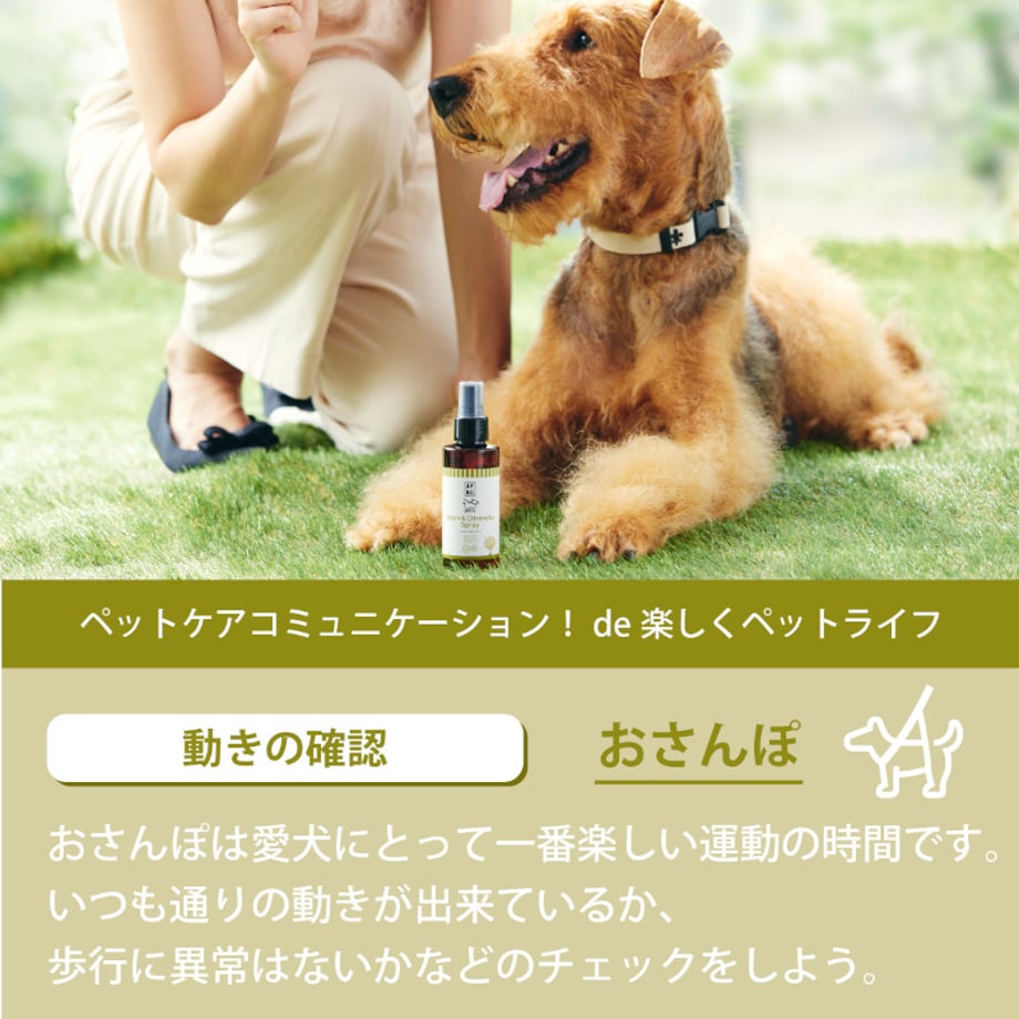 6a759301393dc3327d1ec720