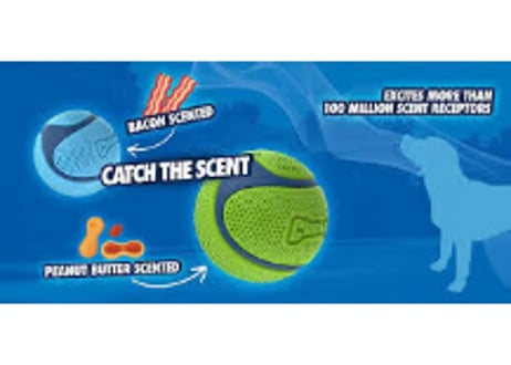 《Chuck it！》SNIFF FETCH BALL（スニフフェッチボール）2個入り