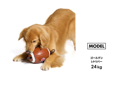《LIFELIKE》イージーPLAYスポーツボール