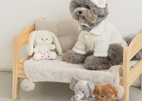 《BITE ME》私の愛着ぬいぐるみおもちゃ