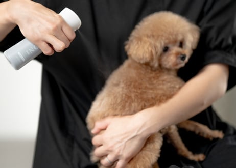 《HONI》プロテクトミスト　フローラルリリー　100ml