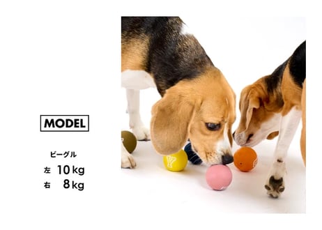 《LIFELIKE》ラテックス　カラーボールおもちゃ