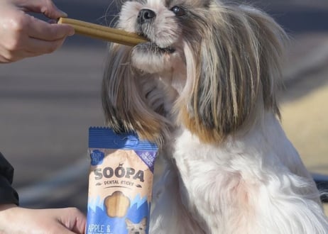 《SOOPA》APPLE&BLUEBERRY STICKS(アップル&ブルーベリースティック)