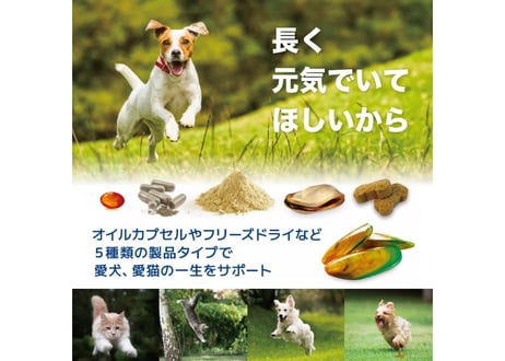 《PURE PETS》緑イ貝ビスケット