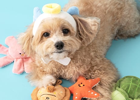《BITE ME》海のお友だちおもちゃ