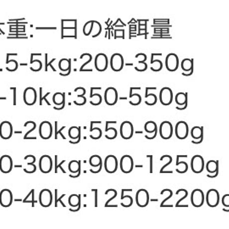 《Terra Canis》MARKET RAGOUT 鹿肉＆チキン