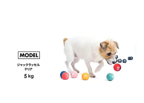《LIFELIKE》ラテックス　カラーボールおもちゃ
