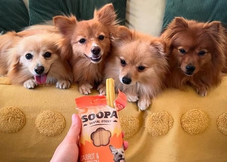 《SOOPA》CARROT&PUMPKIN STICKS(キャロット＆パンプキンスティック)