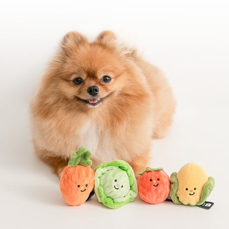 《BITE ME》野菜畑ボールおもちゃ（2個セット）