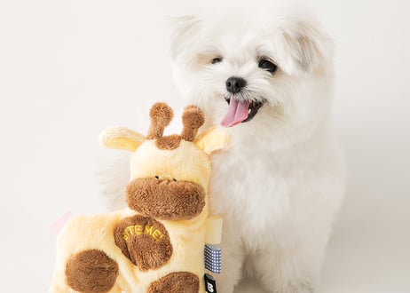 《BITE ME》小さなお友だち　おもちゃ