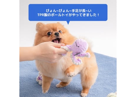 《BITE ME》ぴょんぴょんボールおもちゃ