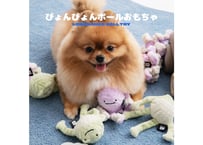 《BITE ME》ぴょんぴょんボールおもちゃ