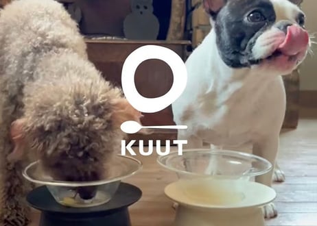 《KUUT》徳島県特別飼育神山鶏のボーンブロス