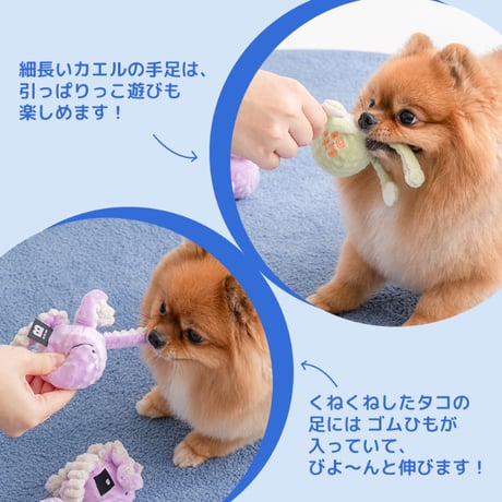 《BITE ME》ぴょんぴょんボールおもちゃ