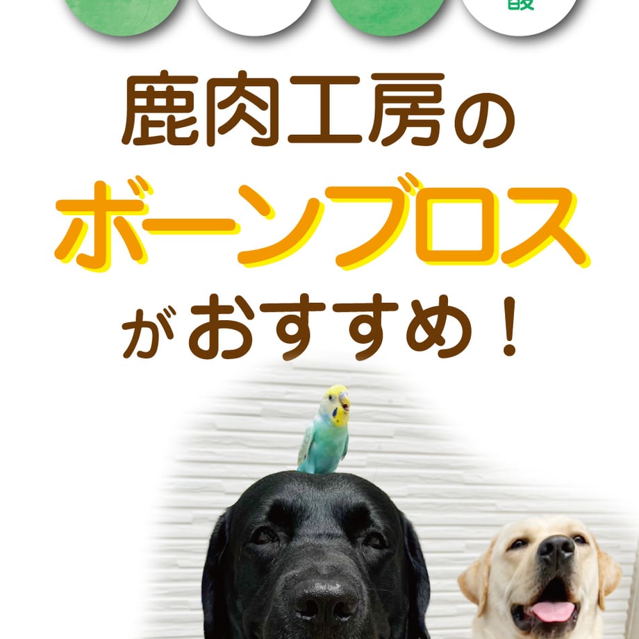 6aa4bf6ca0fb406d7393663d