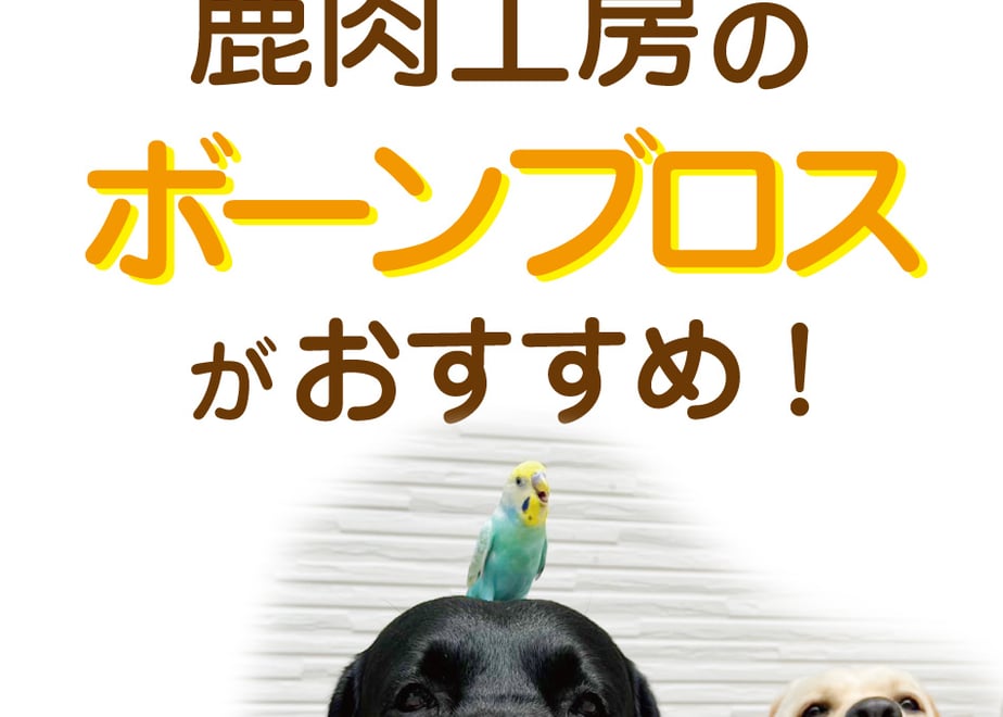 6aa4bf6ca0fb406d7393663d