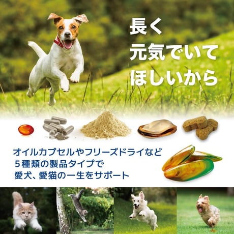 《PURE PETS》緑イ貝ビスケット