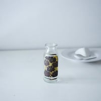 NGW チョコレートコスモス
