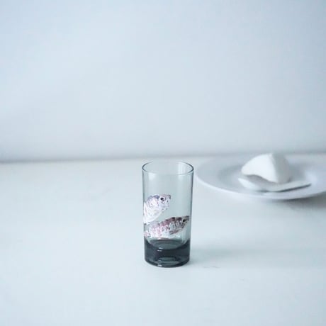 NGW 石持