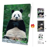 A5ファイル香暁蕾展出記念-特典限定