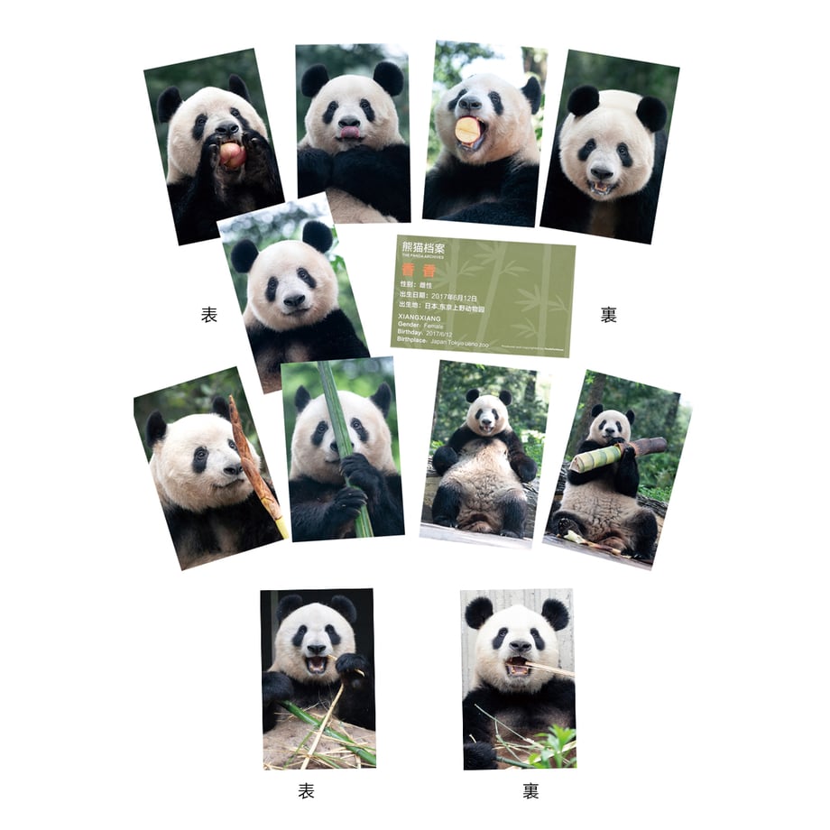 6a7acf51f5e140ab29e3c71e