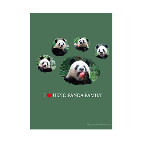 【予約販売】A4-4ファイル Xiang Family 記念特製デザイン-てのひら
