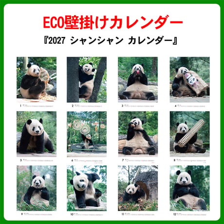 でっかいシャンシャン！ECO壁掛け『2027 シャンシャン カレンダー』