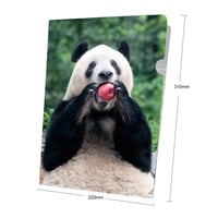 【予約販売】A4-4ファイル Xiang Family 記念特製デザイン-てのひら