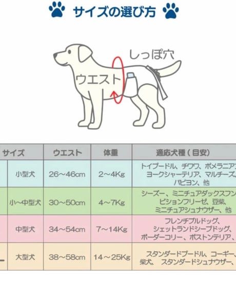 うんこパンツ