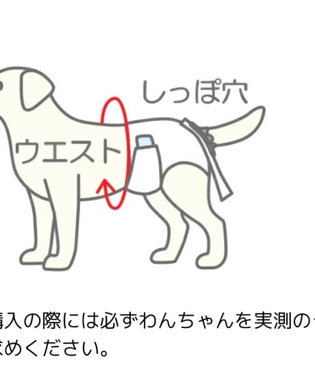 うんこパンツ