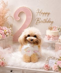 ✧ Birthday Fairytale Tipett ✧