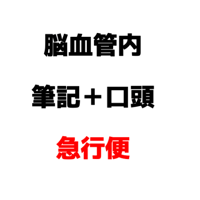 【急行便】【セット】2027脳血管内治療（JSNET）筆記＋口頭実技試験対策問題集