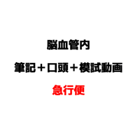 【急行便】【セット】2027脳血管内治療（JSNET）筆記＋口頭実技試験対策問題集＋模試・解説動画