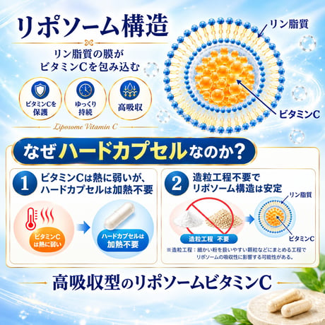 〖詳細はこちら▶️〗マイチェックC【ビタミンC1000mg中に高吸収型リポソームビタミンC500mg配合】１袋120粒30日分 2袋セット クリックポスト送料無料