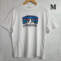 Y1039 patagonia　Tシャツ