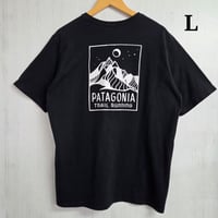 Y1093 patagonia　Tシャツ