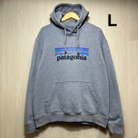 D927 Patagonia パーカー