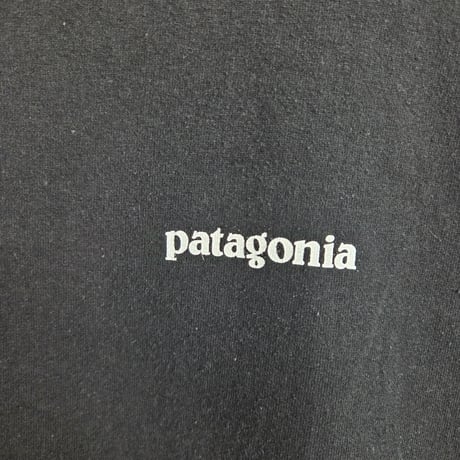 Y995 patagonia　Tシャツ