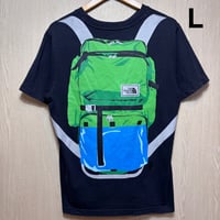 T1145 ザノースフェイス　半袖Tシャツ