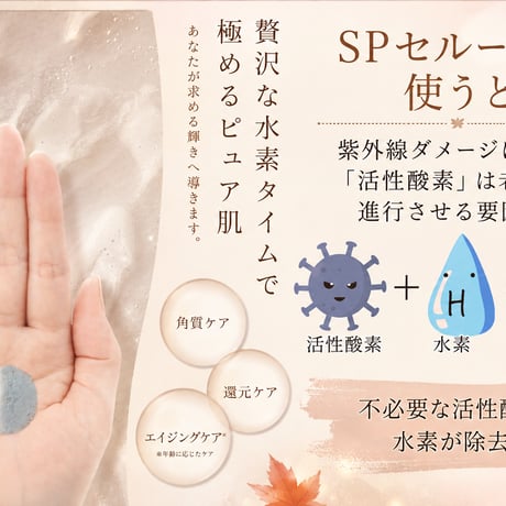 秋の酸化皮脂対策 サロン限定セット